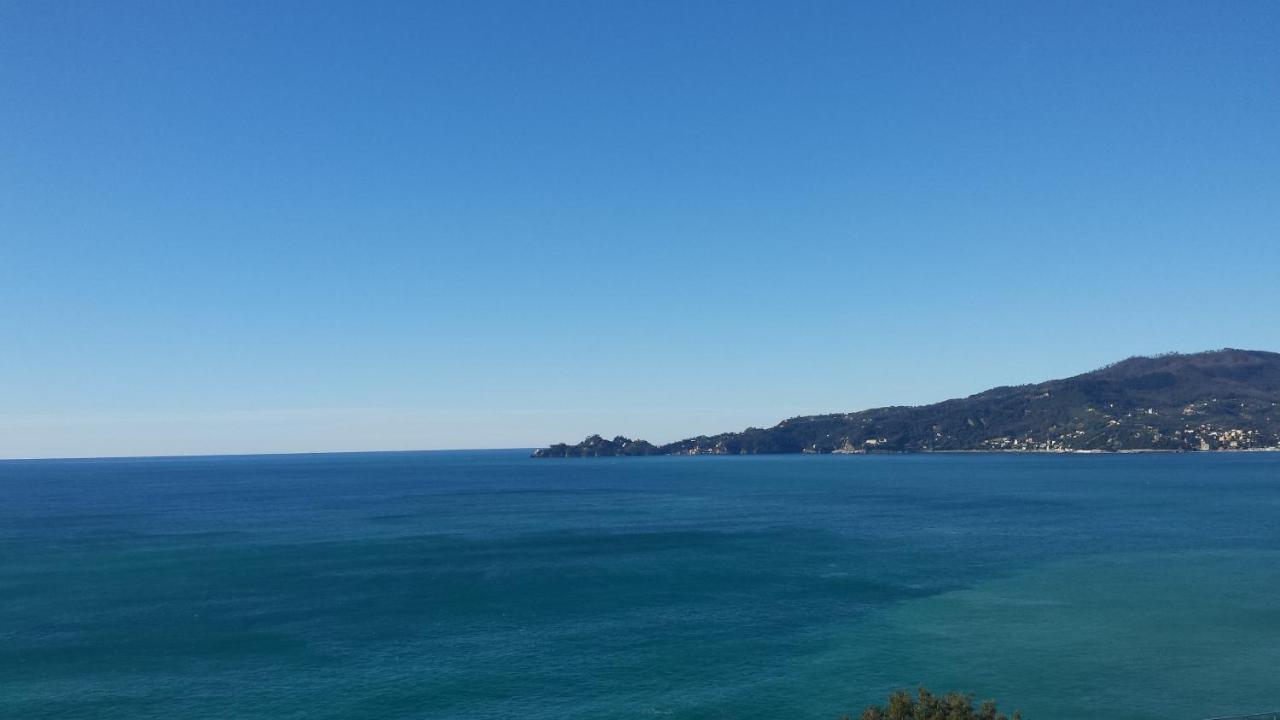 Vista Mare E Portofino - Sea And Portofino View Leilighet Zoagli Eksteriør bilde